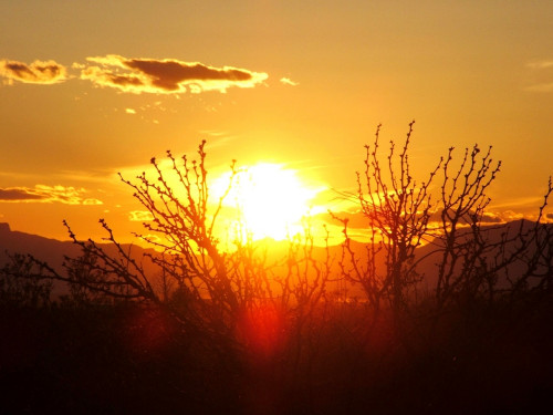 Schamanische Rituale dienen zur Kontaktaufnahme: Foto: © Megan_R_Hoover / shutterstock / #189368